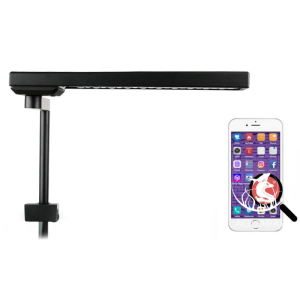 Oświetlenie LED C II RGB (bluetooth controler) (330-8402)