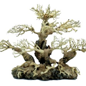 PROGROW BONSAI TREE BT3L 40X15X30CM sklep akwarystyczny śląsk