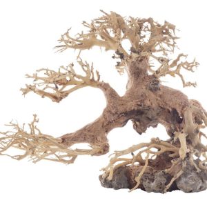 PROGROW BONSAI TREE BT5S 25X10X20CM sklep akwarystyczny śląsk