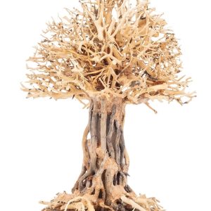 PROGROW BONSAI TREE BT7L 30X20X35CM sklep akwarystyczny śląsk