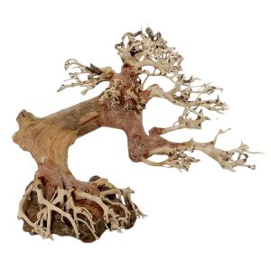 PROGROW BONSAI TREE BT9S 20X8X15CM sklep akwarystyczny śląsk