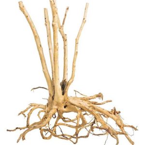 PROGROW FINE WOOD STUMP 1KG sklep akwarystyczny śląsk