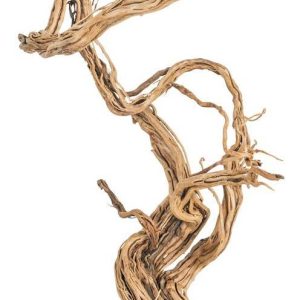 PROGROW FINE WOOD WAVE 1KG sklep akwarystyczny śląsk