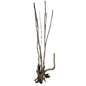 PROGROW GIANT WOOD 1