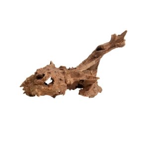 PROGROW JAGGED WOOD 25-35CM 1SZT. sklep akwarystyczny śląsk