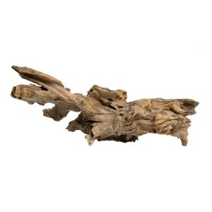 PROGROW JAGGED WOOD 45-55CM 1SZT. sklep akwarystyczny śląsk
