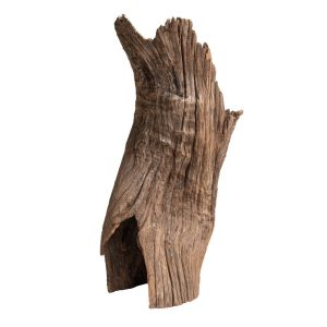 PROGROW OLD TRUNK WOOD 30-60CM 1KG sklep akwarystyczny śląsk