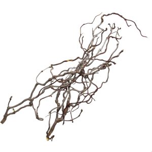 PROGROW WILLOW WOOD 1KG sklep akwarystyczny śląsk