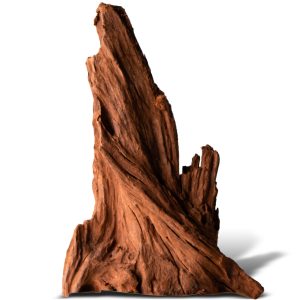 Philippines Classic Driftwood - drzewo mangrowca z wody S ok.20cm sklep akwarystyczny śląsk