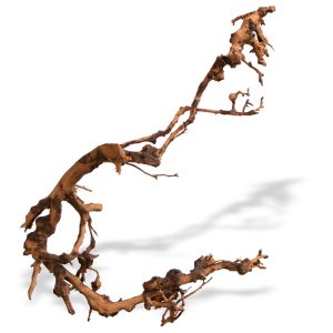Philippines Drift Wood - korzeń dekoracyjny na sztuki sklep akwarystyczny śląsk