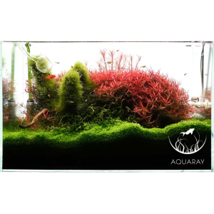 Podświetlane tło do akwarium białe 60x45 cm