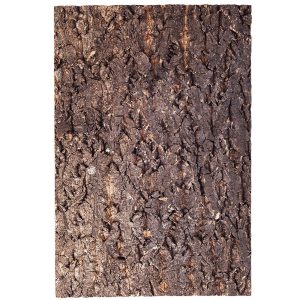 Repti-Zoo Big Tree Background - tło z kory do terrarium 20x30cm sklep akwarystyczny śląsk