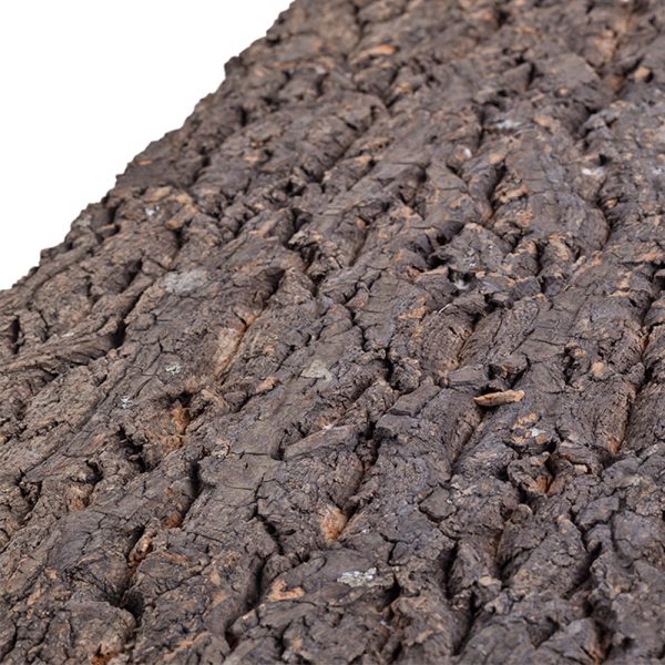 Repti-Zoo Big Tree Background - tło z kory do terrarium 30x30cm sklep premium dla akwarystów