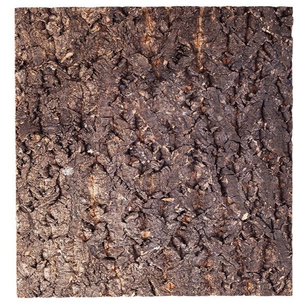 Repti-Zoo Big Tree Background - tło z kory do terrarium 30x30cm sklep akwarystyczny śląsk
