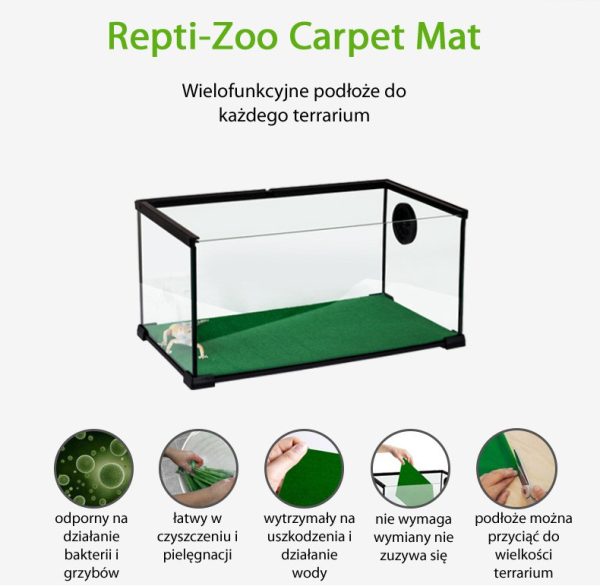 Akwarium / terrarium / Animals