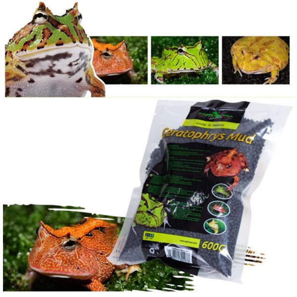 Akwarium / terrarium / Animals