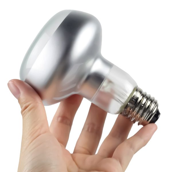 RZ ZAROWKA FLAT CLEAR 50W C63050A sklep akwarystyczny / terrarystyczny