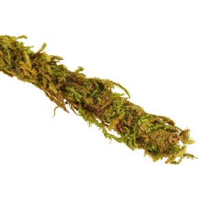 Repti-Zoo Liana z naturalnym mchem 2cm x 2m sklep akwarystyczny śląsk