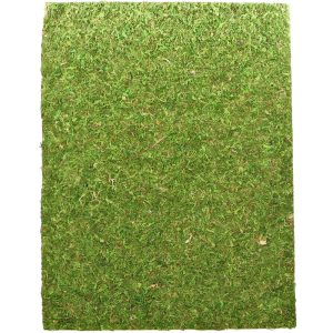 Repti-Zoo Natural Moss Back&Bottom - tło i podłoże z mchu 20x30cm sklep akwarystyczny śląsk