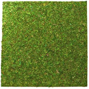 Repti-Zoo Natural Moss Back&Bottom - tło i podłoże z mchu 45x45cm sklep akwarystyczny śląsk