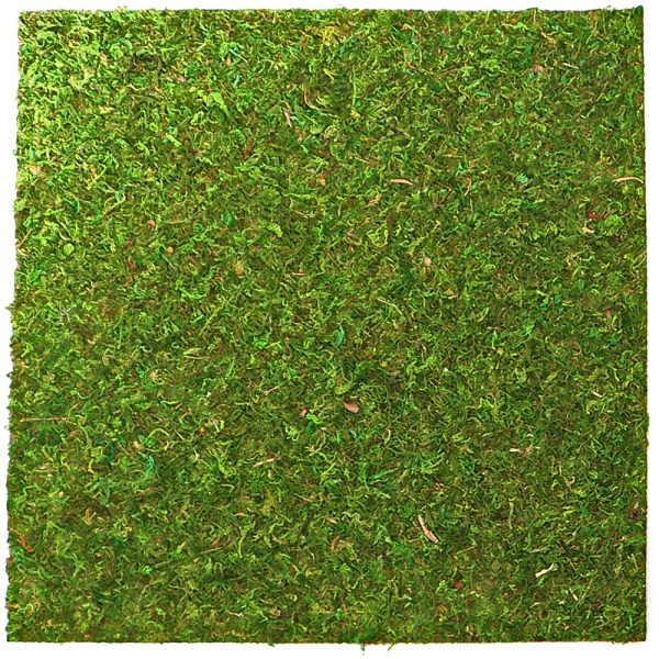 Repti-Zoo Natural Moss Back&Bottom - tło i podłoże z mchu 45x45cm sklep akwarystyczny śląsk