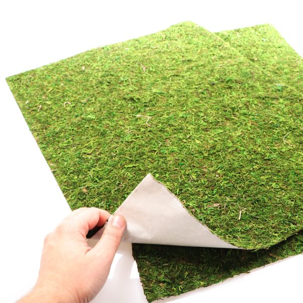 Repti-Zoo Natural Moss Back&Bottom - tło i podłoże z mchu 50x25cm sklep premium dla akwarystów