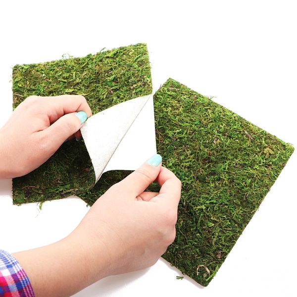 RZ MOSS BACKGROUND NCM5025 sklep akwarystyczny / terrarystyczny