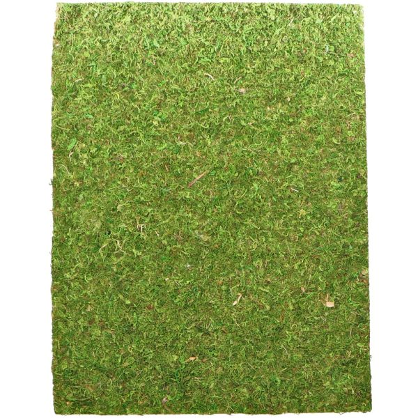 Repti-Zoo Natural Moss Back&Bottom - tło i podłoże z mchu 50x25cm sklep akwarystyczny śląsk
