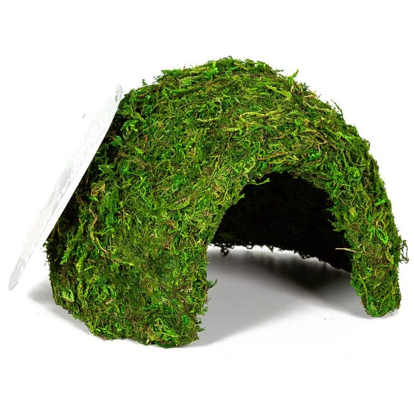 RZ NATURAL MOSS DOME ERS25M sklep akwarystyczny / terrarystyczny