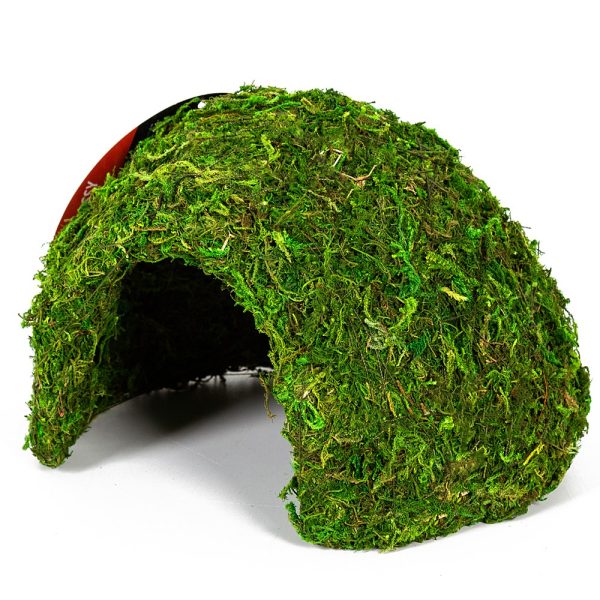 Akwarium / terrarium / Animals