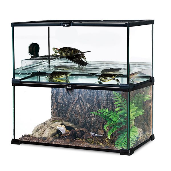 Akwarium / terrarium / Animals