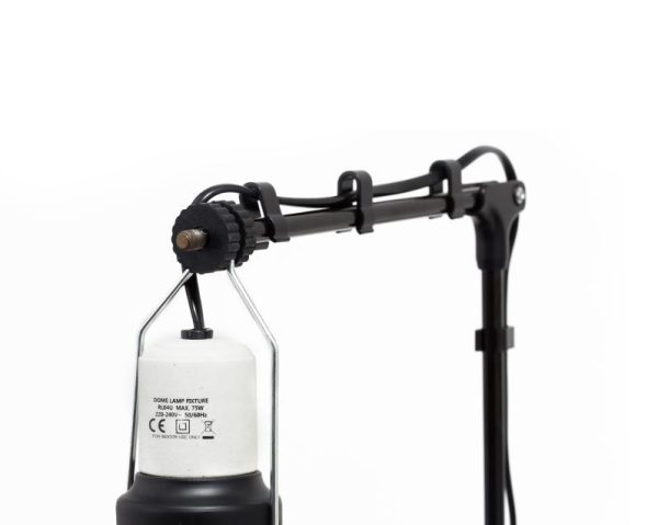 RZ LH009D