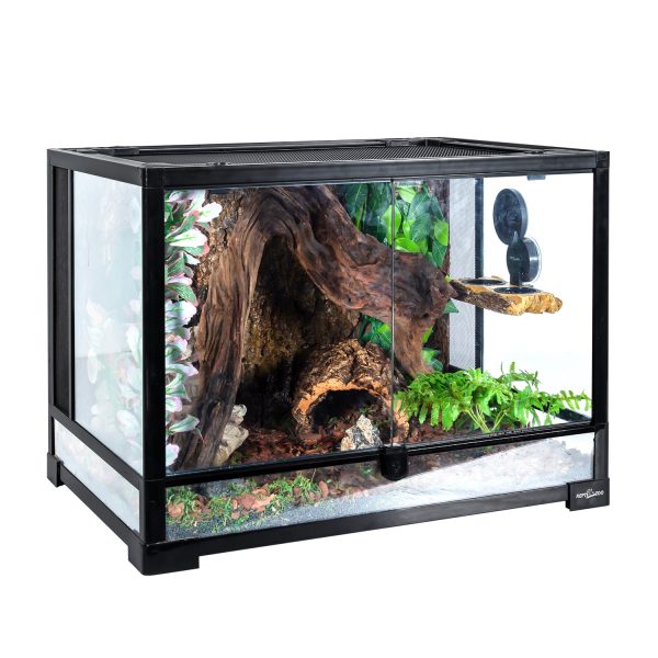 Akwarium / terrarium / Animals