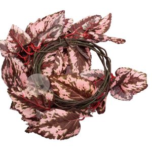 Repti-Zoo roślina wisząca 190cm - Begonia sklep akwarystyczny śląsk