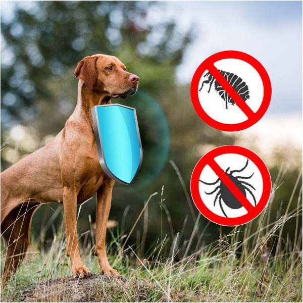 SABUNOL PLUS - obroża ozdobna biobójcza dla psa 75cm czerwona sklep premium dla akwarystów