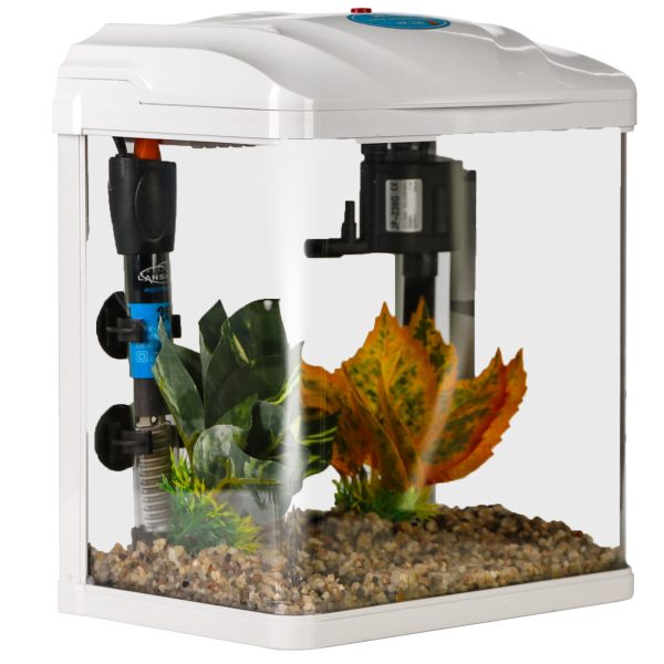 Akwarium / terrarium / Animals