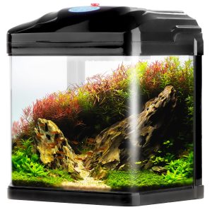 SUNSUN Pika-Pika AquaKids - akwarium 3l czarne sklep akwarystyczny śląsk