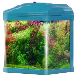 SUNSUN Pika-Pika AquaKids - akwarium 3l niebieskie sklep akwarystyczny śląsk