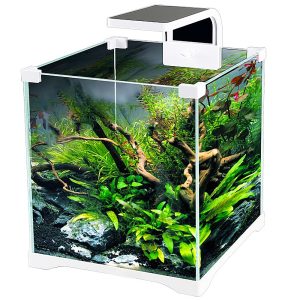 SunSun O!-LED Aqua - zestaw akwarium 10l sklep akwarystyczny śląsk