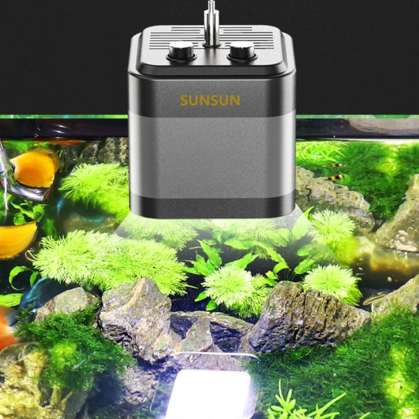Akwarium / terrarium / Animals