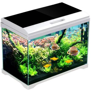 SunSun Supreme AquaPlant 30l - zestaw akwarium sklep akwarystyczny śląsk