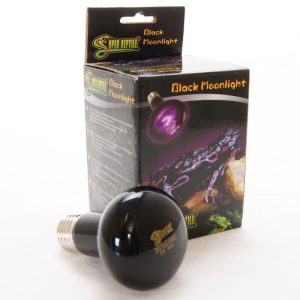 Super Reptile Black Moonlight 100W - żarówka grzewcza sklep akwarystyczny śląsk