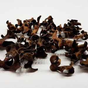Tantora Black Curl 10g kryjówka krewetki sklep akwarystyczny śląsk