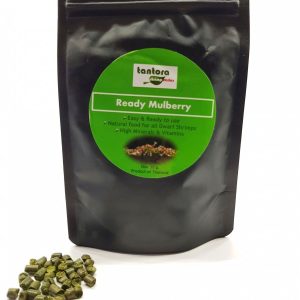 Tantora Moringa Stick 25g sklep akwarystyczny śląsk