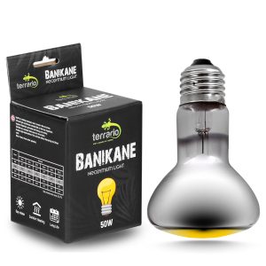 Terrario Banikane Neodymium Light - żarówka grzewcza neodymowa 50W sklep akwarystyczny śląsk