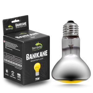 Terrario Banikane Neodymium Light - żarówka grzewcza neodymowa 75W sklep akwarystyczny śląsk