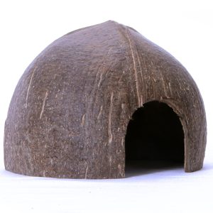Terrario CocoCave L - połówka kokos gładki sklep akwarystyczny śląsk