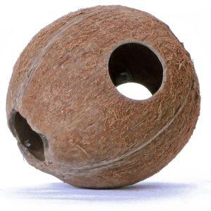 Terrario CocoLair  - cały kokos naturalny sklep akwarystyczny śląsk