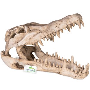 Terrario Crocodile Skull XL - ozdoba do terrarium 23x11x16 cm sklep akwarystyczny śląsk
