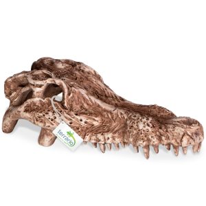 Terrario Crocodile Skull - ozdoba do terrarium 30x14x9 cm sklep akwarystyczny śląsk